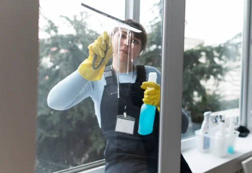 Nettoyage de vitres intérieures et extérieures à Bannegon